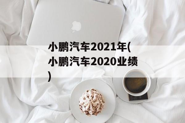 小鹏汽车2021年(小鹏汽车2020业绩)