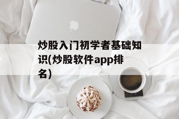 炒股入门初学者基础知识(炒股软件app排名)