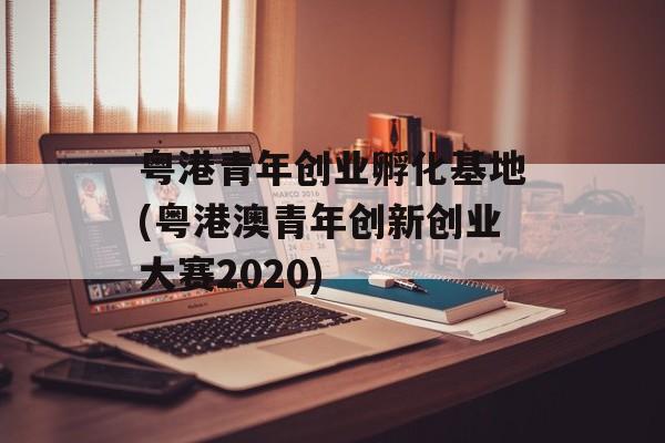 粤港青年创业孵化基地(粤港澳青年创新创业大赛2020)