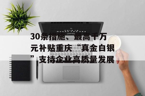 30条措施、最高千万元补贴重庆“真金白银”支持企业高质量发展